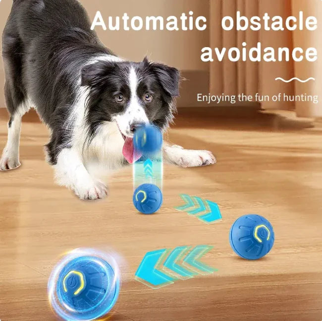 Pelota Interactiva Saltarina 🐾
